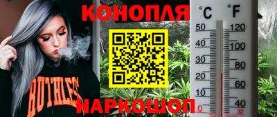 Альфа ПВП Славгород