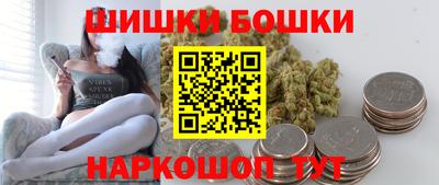 хмурый Сланцы