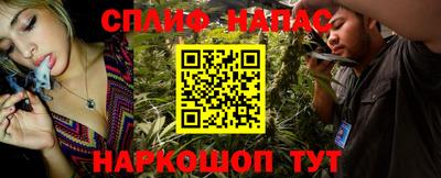 хмурый Сланцы